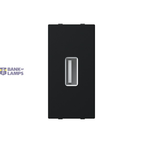 N2155.8 NT - Presa USB 2.0 image 1