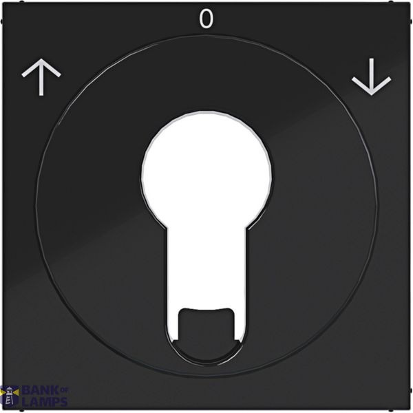 Centr.pl. blind switch/pulse driver DIN-cylinder arrow symbol A.x/C.x black gl. image 1