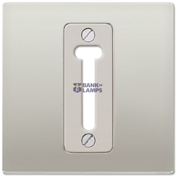 centre plate for PTT-socket image 1
