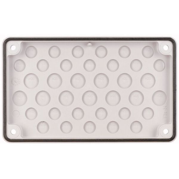 Flange plate, IP66, insulating material, 24xM16 13xM20 image 2