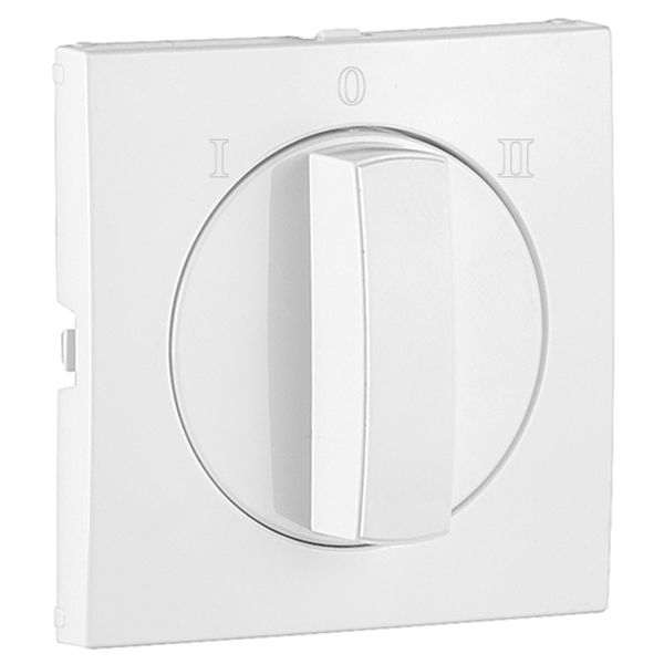 C. PLATE F/ROT TWO-WAY SWITCH (I, 0, II)WHITE image 2