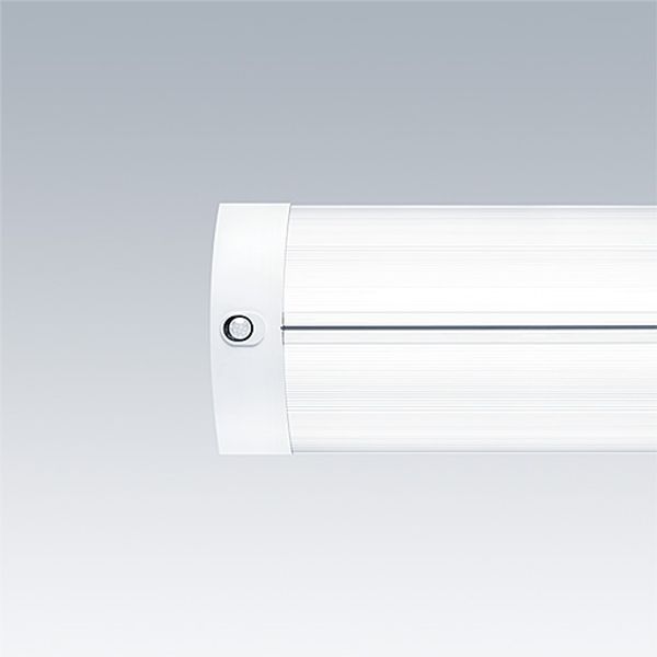 IQ SURF L LED6700-840 HFSX - Surface mounted LED luminaire image 1