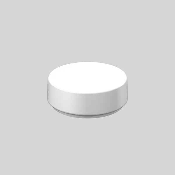 Replacement glass, moulded glass D 280 H 99 colour: white image 2