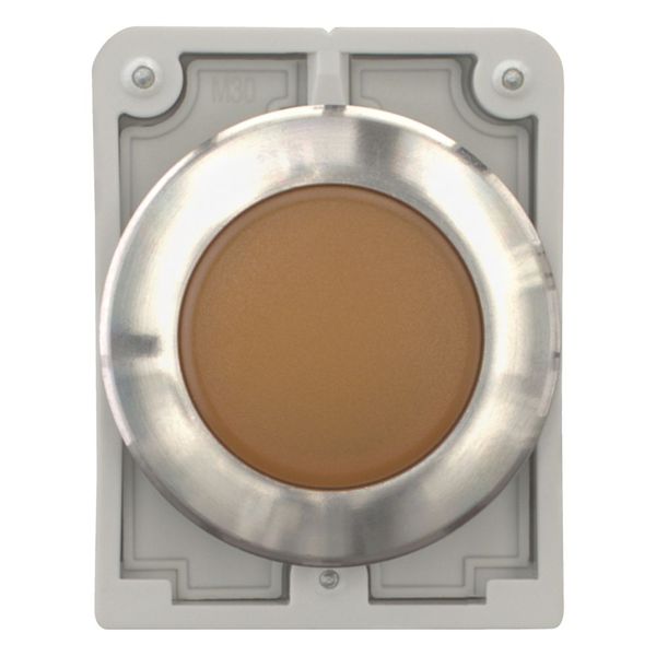 M30I-FL-A Indicator light, RMQ-Titan, flat, orange, Front ring stainless steel image 3