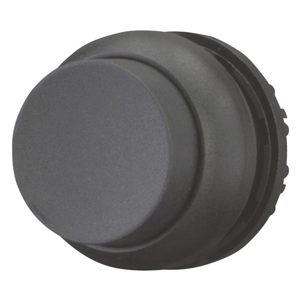 M22S-DH-S Pushbutton, RMQ-Titan, Extended, momentary, black, Blank, Bezel: black image 4