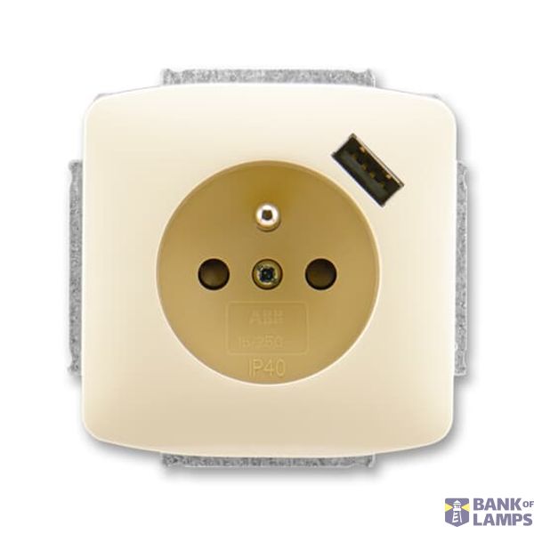 5569A-A02357 C Socket outlet with earthing pin, shuttered, with USB charging image 1