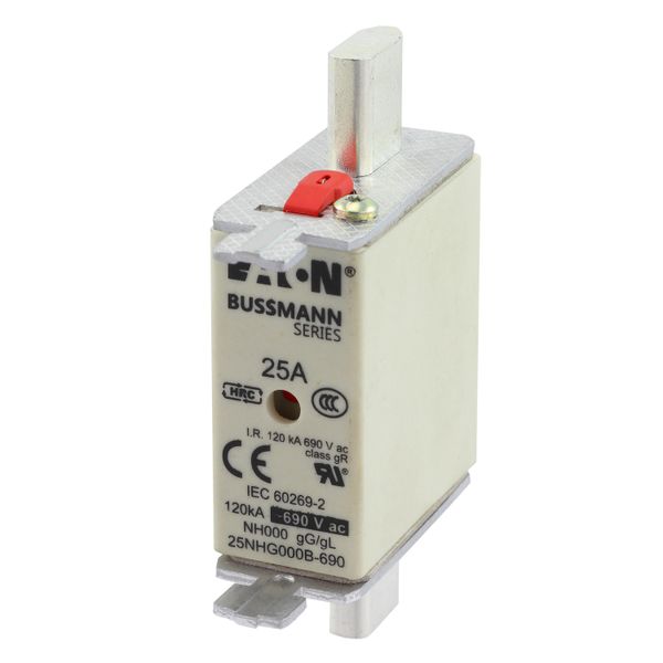 Fuse-link, LV, 25 A, AC 690 V, NH000, gL/gG, IEC, dual indicator, live gripping lugs image 8