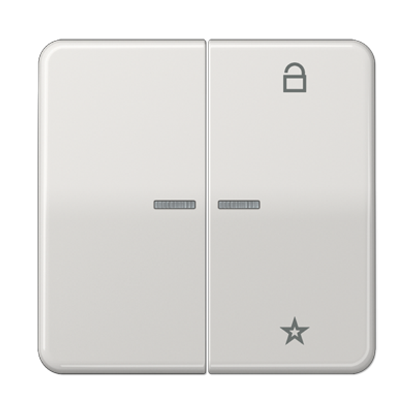 LB Management push-button 2-gang CD1702BR image 16