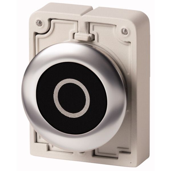 M30I-FD-S-X0 Pushbutton, RMQ-Titan, flat, momentary, black, inscribed, Front ring stainless steel image 1