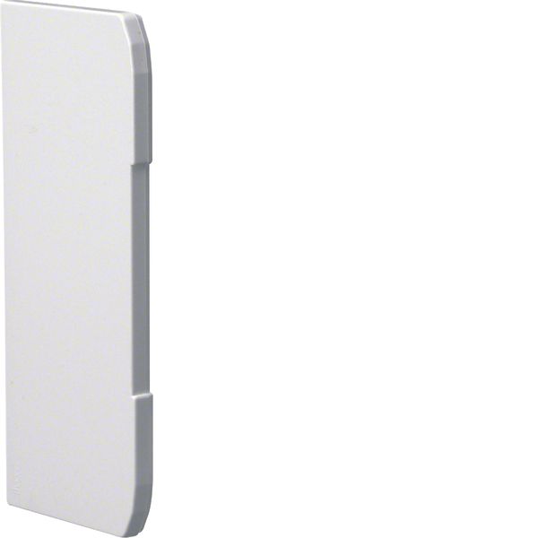 Endcap overlapping for wall trunking BRN 70x170mm of PVC in pure white image 1