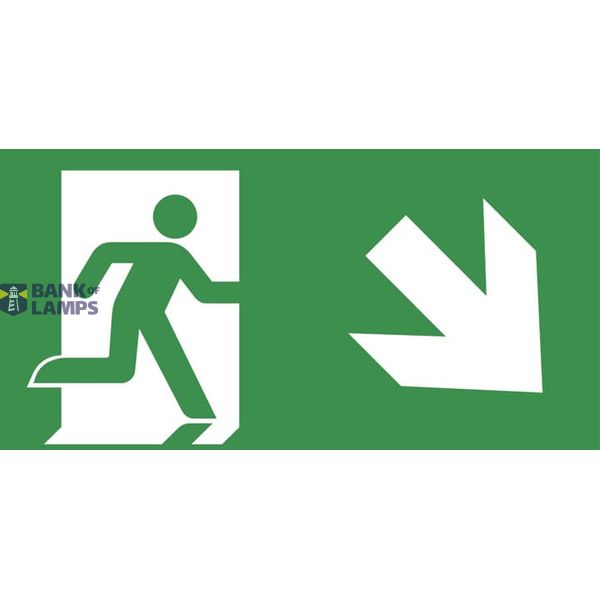 PICTOGRAM P55 image 1