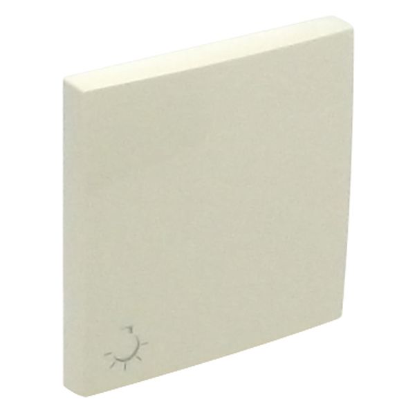 ROCKER F/SWITCHES W/LAMP SYMBOL IVORY image 2