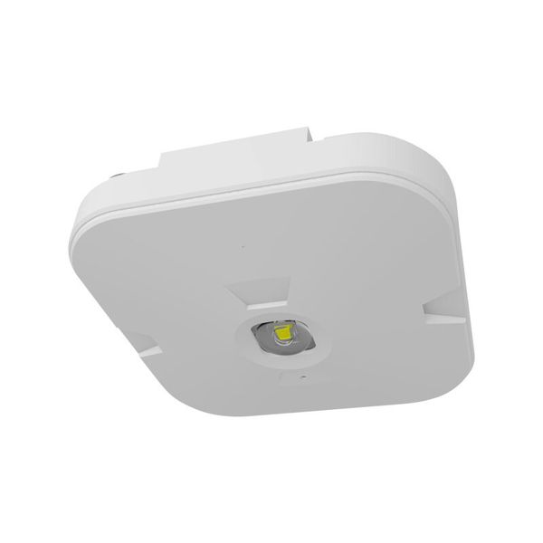 PANLUX LED lamp CORDELIA AREA 3W 300lm 3h emergency mounted IP20 image 1