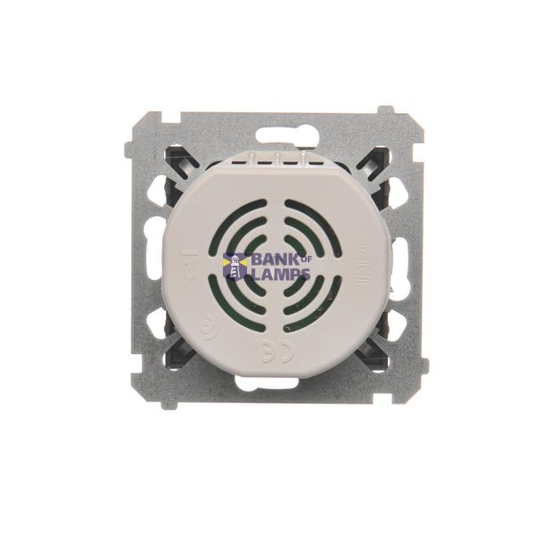 Single frame, graphite mat image 1
