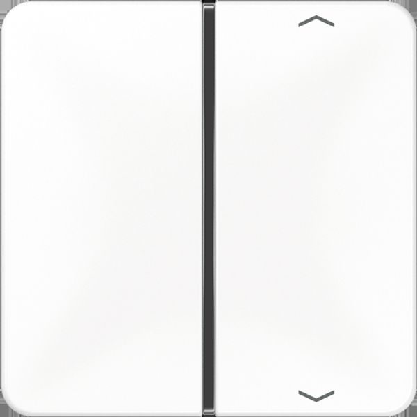 Cover 1-gang with symbols CD401TSAPWW image 5