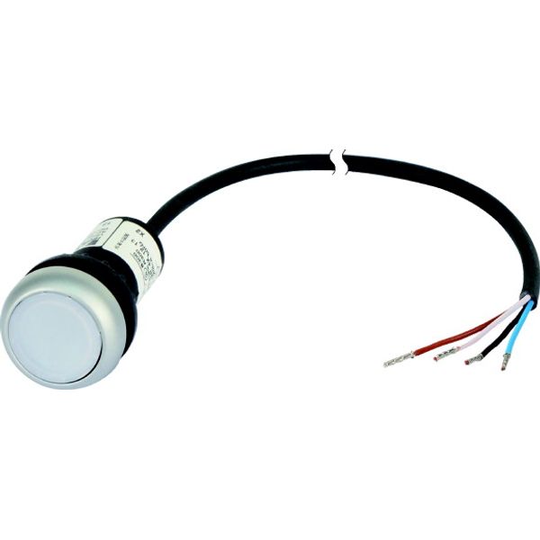 C22-DL-W-K10-24-P62 Illuminated pushbutton actuator, Flat, momentary, 1 N/O, Cable (black) with non-terminated end, 4 pole, 1 m, LED white, White, Blank, 24 V AC/DC, Beze image 1