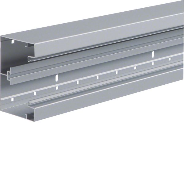 BRA 85130/1 Nat.anod. Trunking base image 1