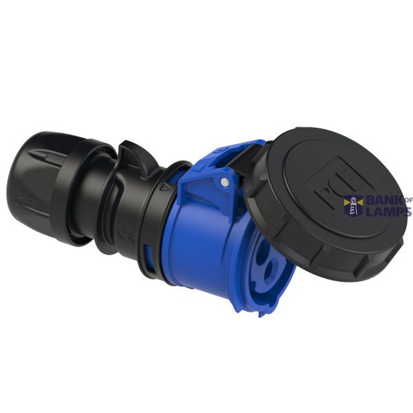 MD01 image 1