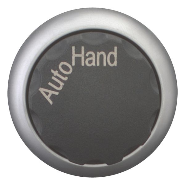 M22-WR-X91 Changeover switch, RMQ-Titan, With rotary head, maintained, 2 positions, inscribed, Bezel: titanium, AUTO HAND image 4