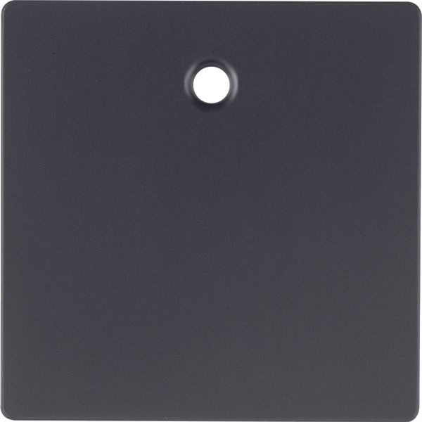 Centre plate f. pullcord switch/ push-button, Q.1/Q.3, ant. velvety la image 2