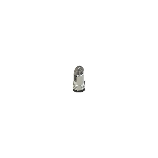 Head roller plunger image 1