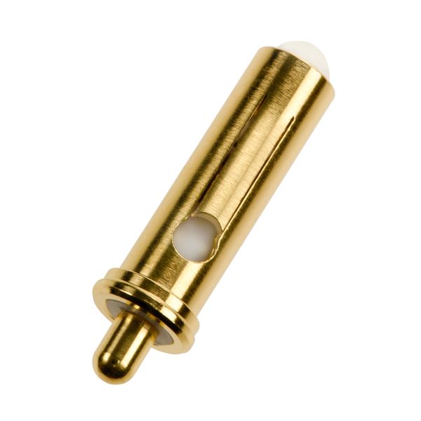 Otoscope Heine 2.5V Halogen image 1