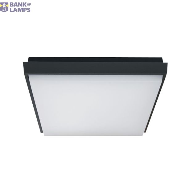 ANTHRACITE PLAFO 20W WW IP54 230V image 1