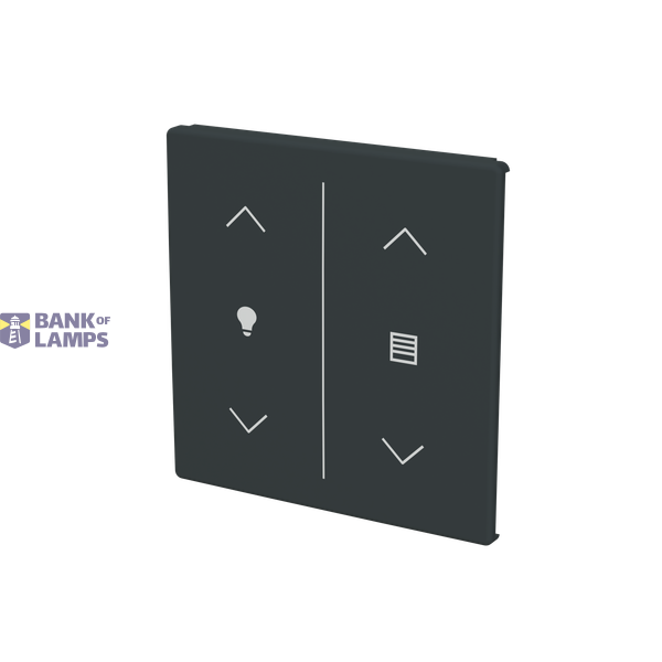 ESP 50Q/PT module image 2