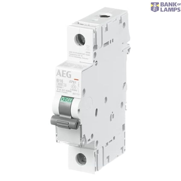 MD99 image 2