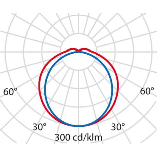 ACRO PRO EQ236PC S/EW 4000K CL PW image 6