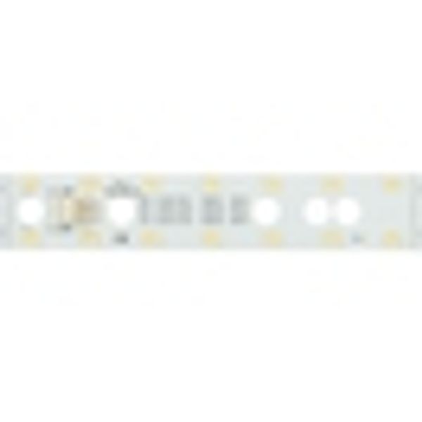 LED PCB Module25 NW (Neutral White) - IP20, CRI/RA 90+ image 2
