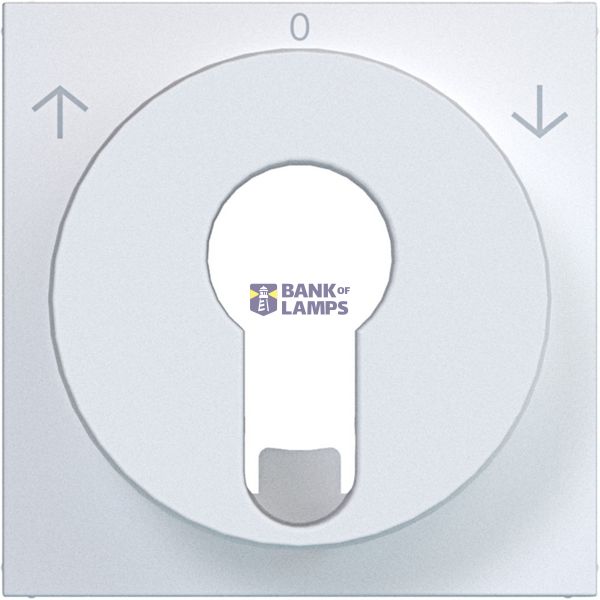 Central lever blind switch/pulse driver DIN cylinder arrow symbol A.x/C.x matte white image 1