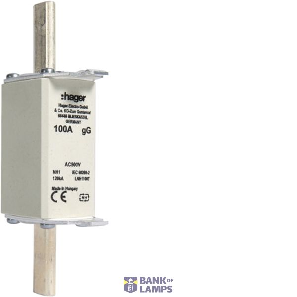 NH Fuse Insert 100A GG, 500VAC LNH1100T image 1