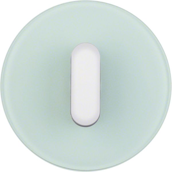 Cover plate toggle rotary switch/spring-return p-b, R.classic, glass, image 1
