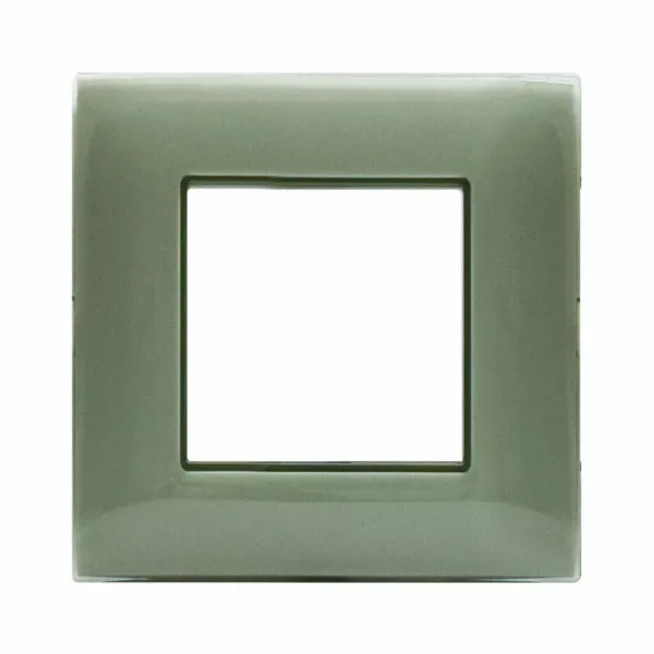 YOUNG44 FR PLATE SAGE  2 CONTR image 1