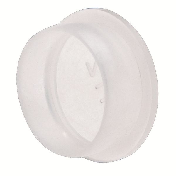 Protected component assemblies, Protective cap image 1