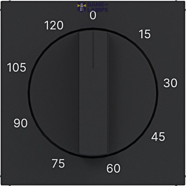 Central plate for mechanical time switch 0-120 min., A.x/C.x, black material image 1