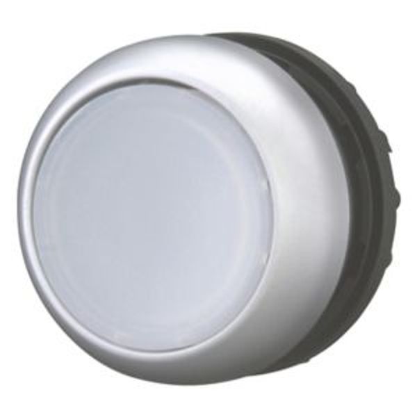 M22-DRL-W Illuminated pushbutton actuator, RMQ-Titan, Flush, maintained, White, Blank, Bezel: titanium image 8