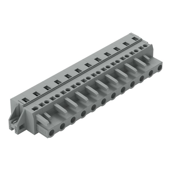 1-conductor female connector CAGE CLAMP® 2.5 mm² gray image 1