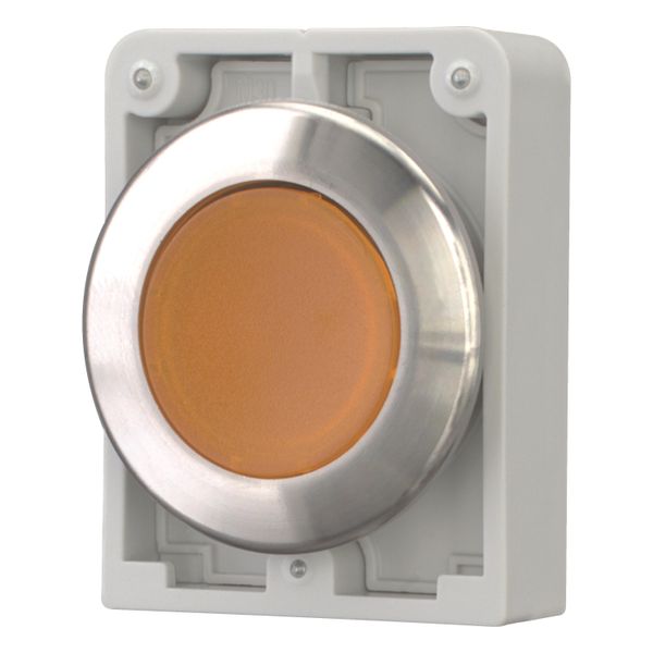 M30I-FDRL-A Illuminated pushbutton actuator, RMQ-Titan, flat, maintained, orange, blank, Front ring stainless steel image 3