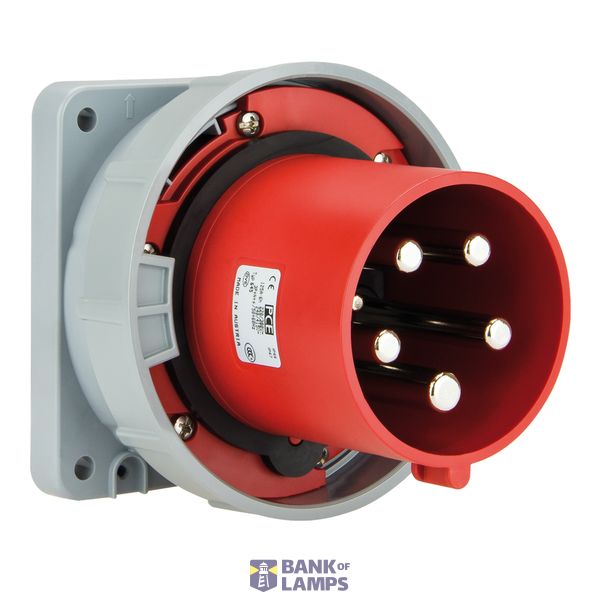 Wtyczka tablicowa prosta 125A 5P 400V IP66/67 image 1