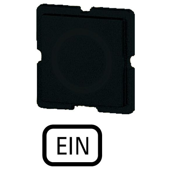 121TQ25 Button plate, black, ON image 1