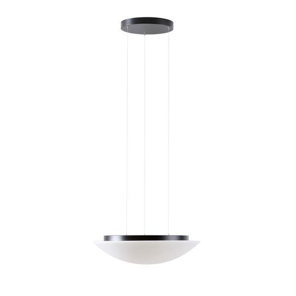 LED-1L16B07ZLE11/082/L100 C 4000 image 1