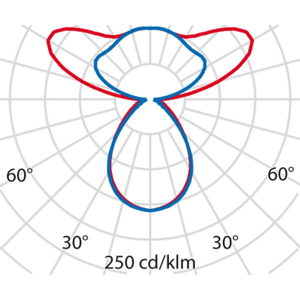 SL720+PL RL 33 S/C 840 GREY DALI MP image 5