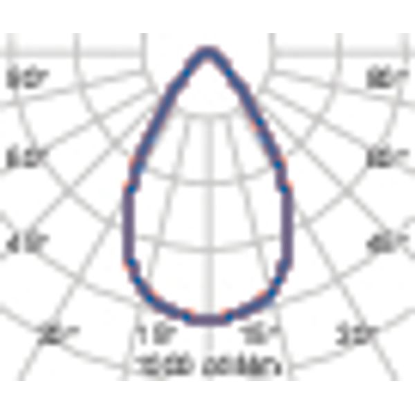 TYK+ 20 31 C/IW 840 ANTHRACITE DALI image 5