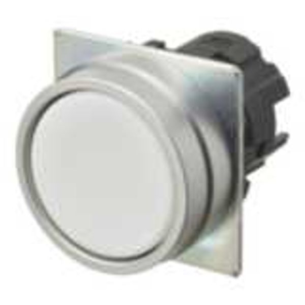 Pushbutton A22NZ Ã˜22, bezel brushed metal, FLAT, MOMENTARY, CAP COLOR A2270076C image 2
