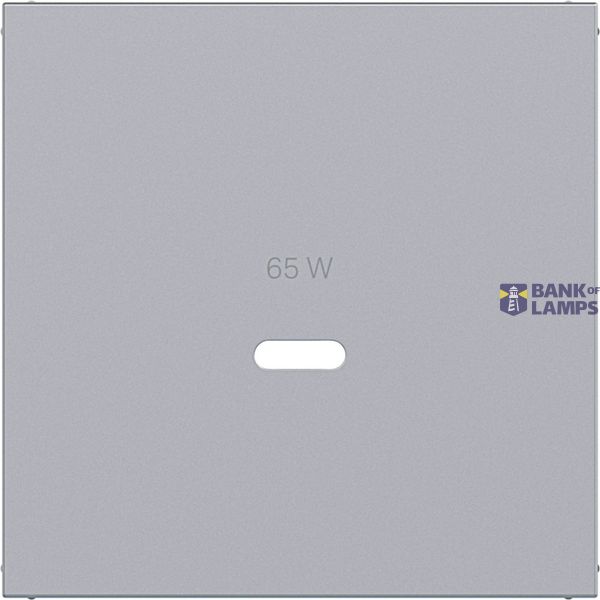 Central plate for USB-C socket, A.x/C.x, titanium image 1
