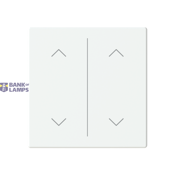 ESP 110D/2BX/I module image 1