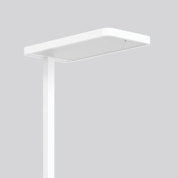 NAVONA, 90 W, 13400 lm, 840, white, Sensor Free-standing luminaires, L image 2