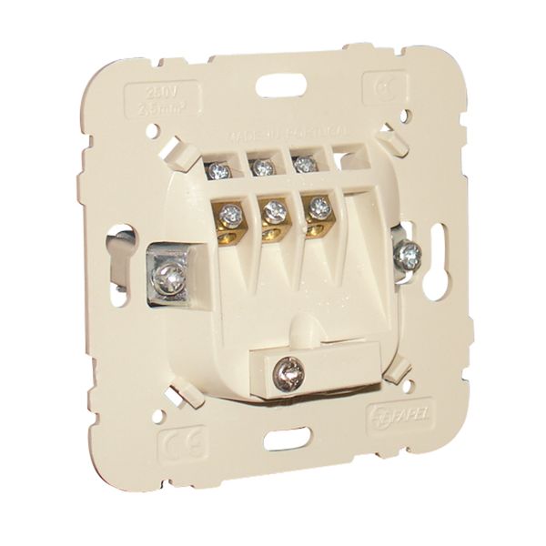 THREE WALL ROSE image 1